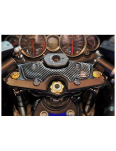 Protège T de fourche "Carbone" pour Suzuki HAYABUSA 2006-2015