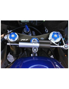 Protège T de fourche "Carbone" pour Yamaha R1 2002-2003