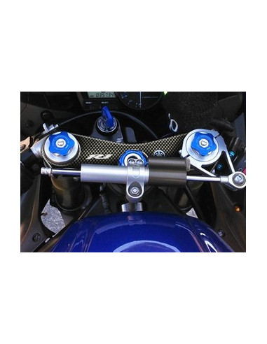 Protège T de fourche "Carbone" pour Yamaha R1 2002-2003