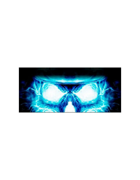 Autocollant ONE VISION N°9 PERFORE POUR