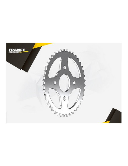 SKYTEAM  50   '07   39    420