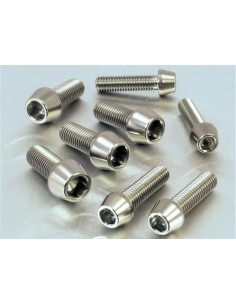 Vis de fixation pour étrier de moto