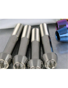 Vis de fixation pour étrier de moto