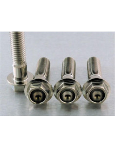 Vis de fixation pour étrier de moto