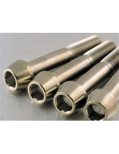 Vis de fixation pour étrier de moto