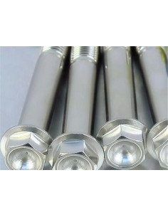 Vis de fixation pour étrier de moto