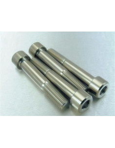 Vis de fixation pour étrier de moto