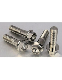 Vis de fixation pour étrier de moto