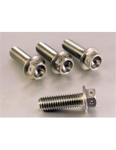 Vis de fixation pour étrier de moto