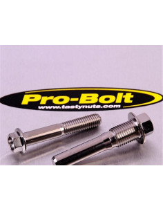 Vis de fixation pour étrier de moto