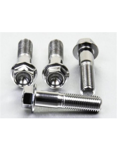 Vis de fixation pour étrier de moto