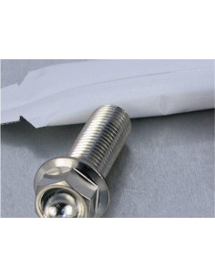 Vis de fixation pour étrier de moto