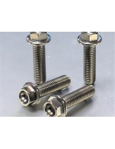 Vis de fixation pour étrier de moto