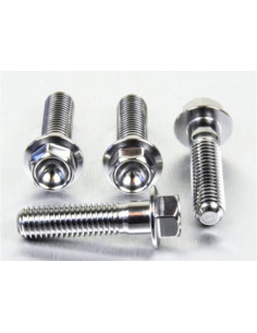 Vis de fixation pour étrier de moto