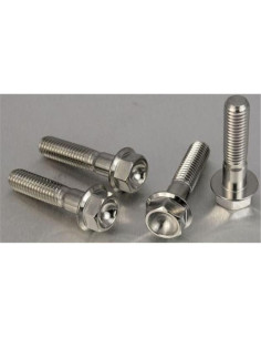 Vis de fixation pour étrier de moto