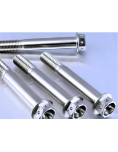 Vis de fixation pour étrier de moto