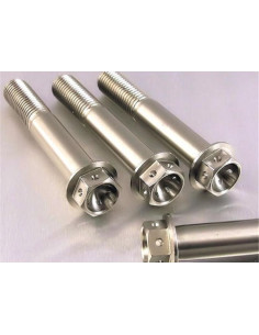 Vis de fixation pour étrier de moto