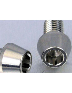 Vis de fixation pour étrier de moto