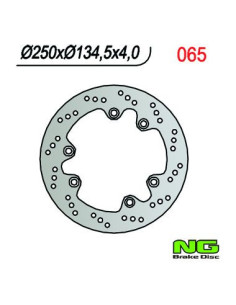 DISQUE DE FREIN NG BRAKE FIXE ARRIERE DROIT