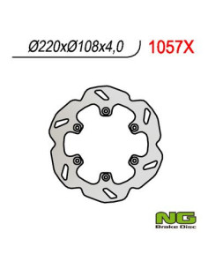 DISQUE DE FREIN NG BRAKE PETALE ARRIERE FIXE