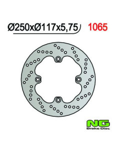 DISQUE DE FREIN NG BRAKE FIXE ARRIERE