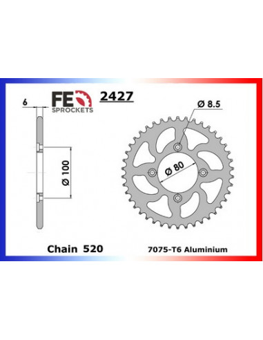 ALU SHERCO.250 '02  38  520