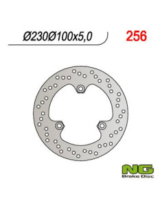 DISQUE DE FREIN NG BRAKE FIXE ARRIERE DROIT