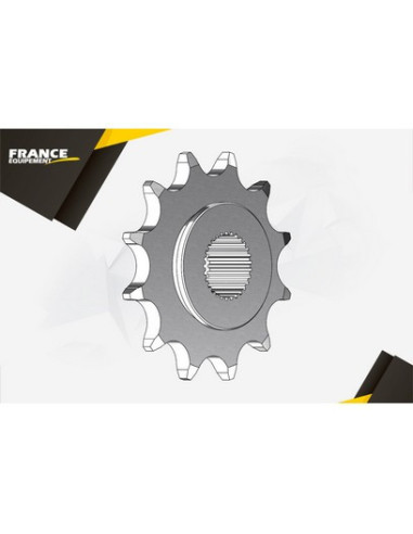 103 SPX/CLIP/RACING 13 Dents