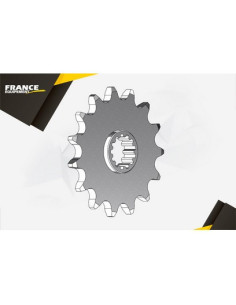 PIG ENDURO RMX250'89/00 13 520 2