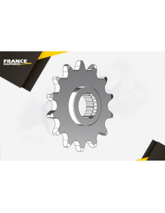 YAM YFM.250 RAPTOR'07/08  14  520 2