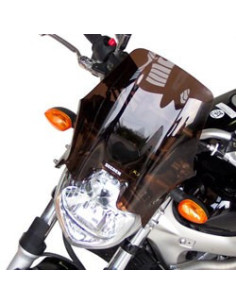 Saute vent YAMAHA 600 FZ 6...