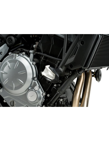 Protection moteur PUIG R19 pour...