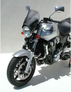 SAUTE VENT SPEED MAX POUR DUCATI MONSTRO