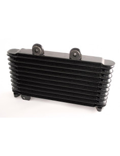 Radiateur huile pour moto SUZUKI GSF600 Bandit 95-99