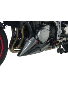 Sabot moteur Ermax pour z 900 2017/2019  2