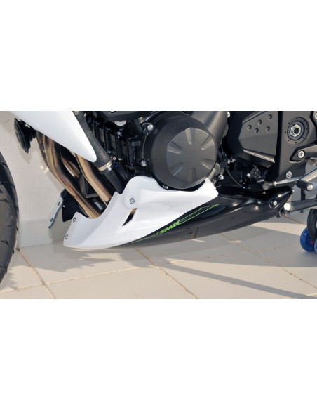 Sabot moteur Ermax pour Z 750 2007/2012 