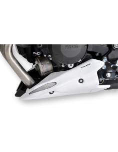 Sabot moteur Ermax pour XJ 6 2009-2012  2