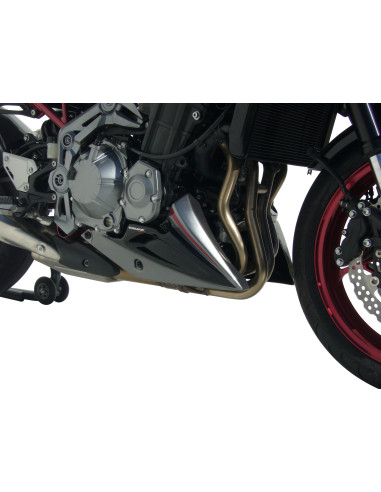Sabot moteur Ermax pour z 900 2017/2019 