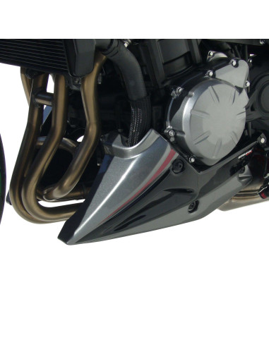 Sabot moteur Ermax pour Z900 2020/2021 