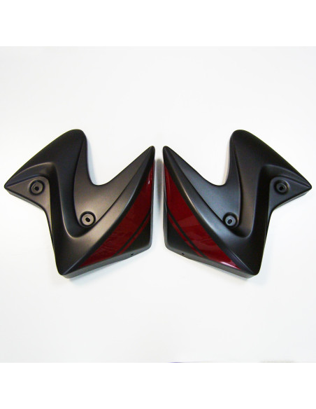 ecopes ermax pour SV 650 N 2016/2021 