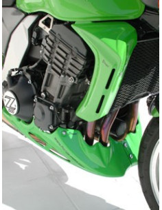 Ecopes  (paire) Ermax pour  Z 1000 2003/2006 