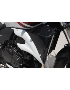 Ecopes Ermax pour CB 600 Hornet 2007/2010  2