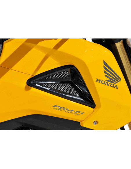 Ecopes Ermax pour MSX 125 (GROM) 2013/2016 