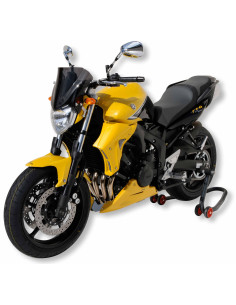 Ecopes Ermax pour FZ 6 / S2 2004/2010  2