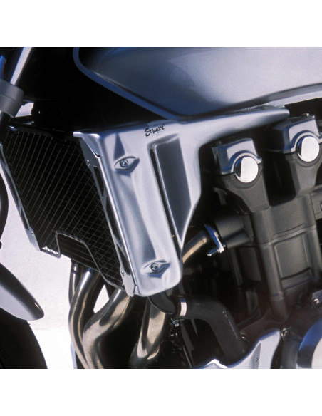 Ecopes Ermax pour CB 1300 N 