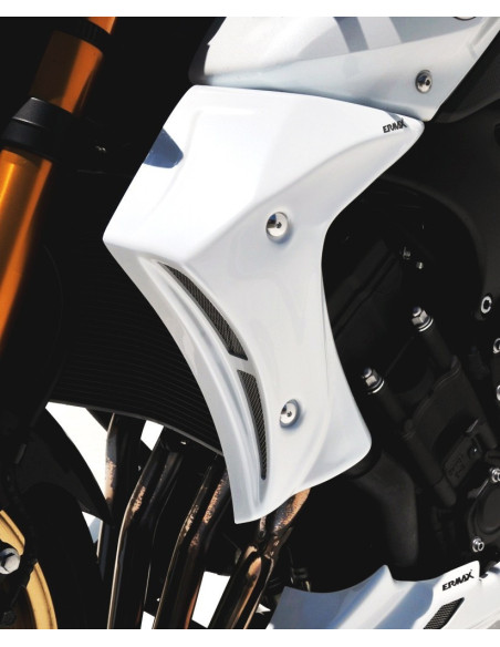 Ecopes Ermax pour FZ 8 2010/2017 