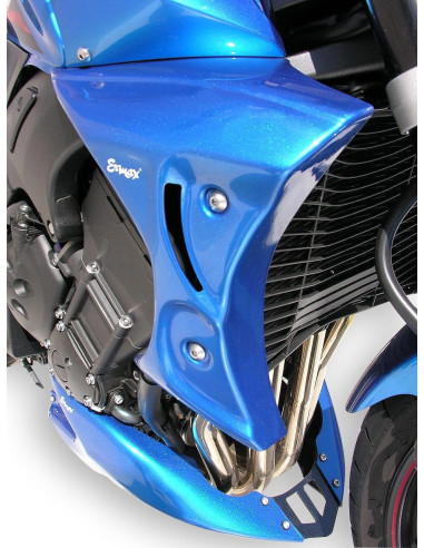 Ecopes Ermax pour  FZ1 2006/2015 