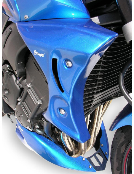 Ecopes Ermax pour  FZ1 2006/2015 
