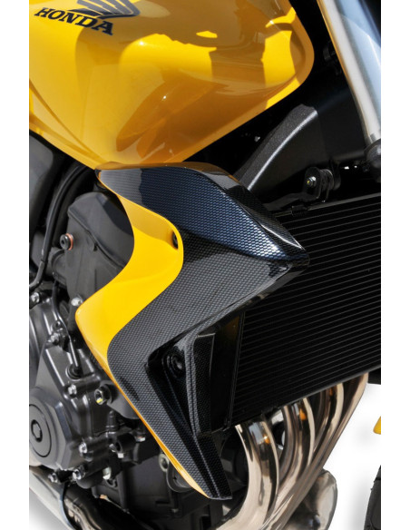 Ecopes Ermax pour CB 600 F Hornet 2011/2013 