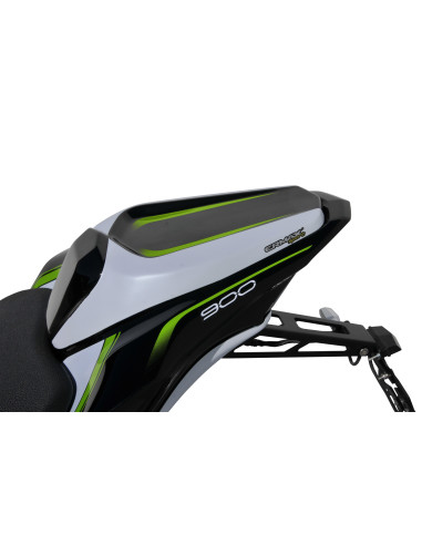 Capot de selle Ermax pour Z 900 2017/2019 